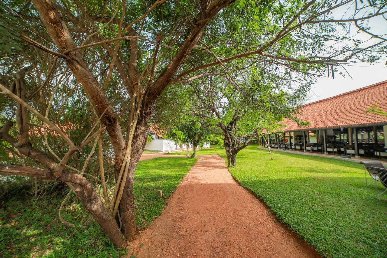 Sigiriyajungles Resort & Spa Екстериор снимка